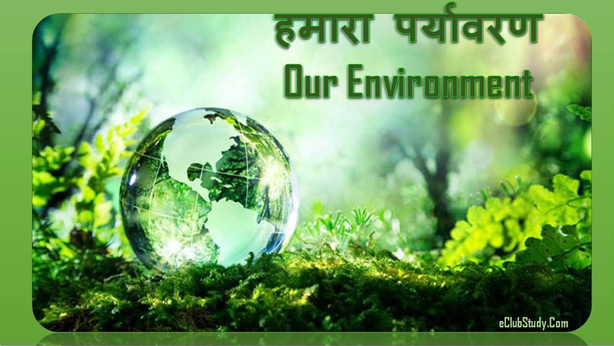 Our Environment in Hindi