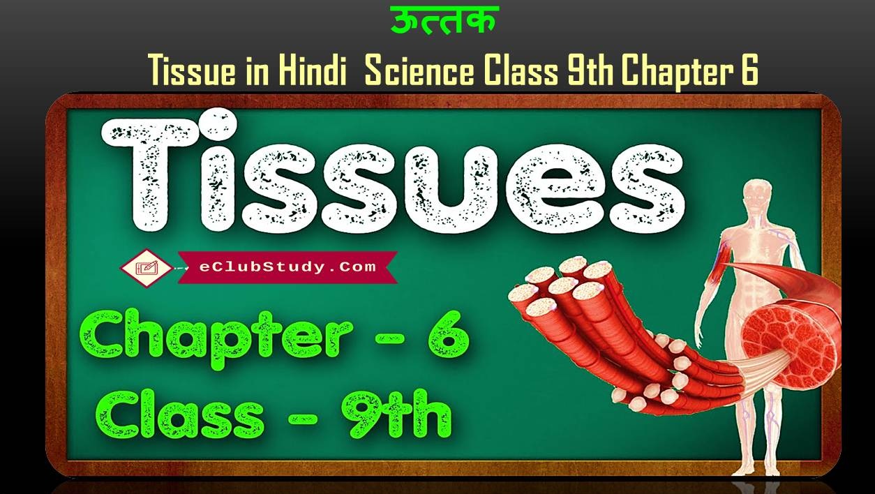 Tissue in Hindi Science Class 9th Chapter 6