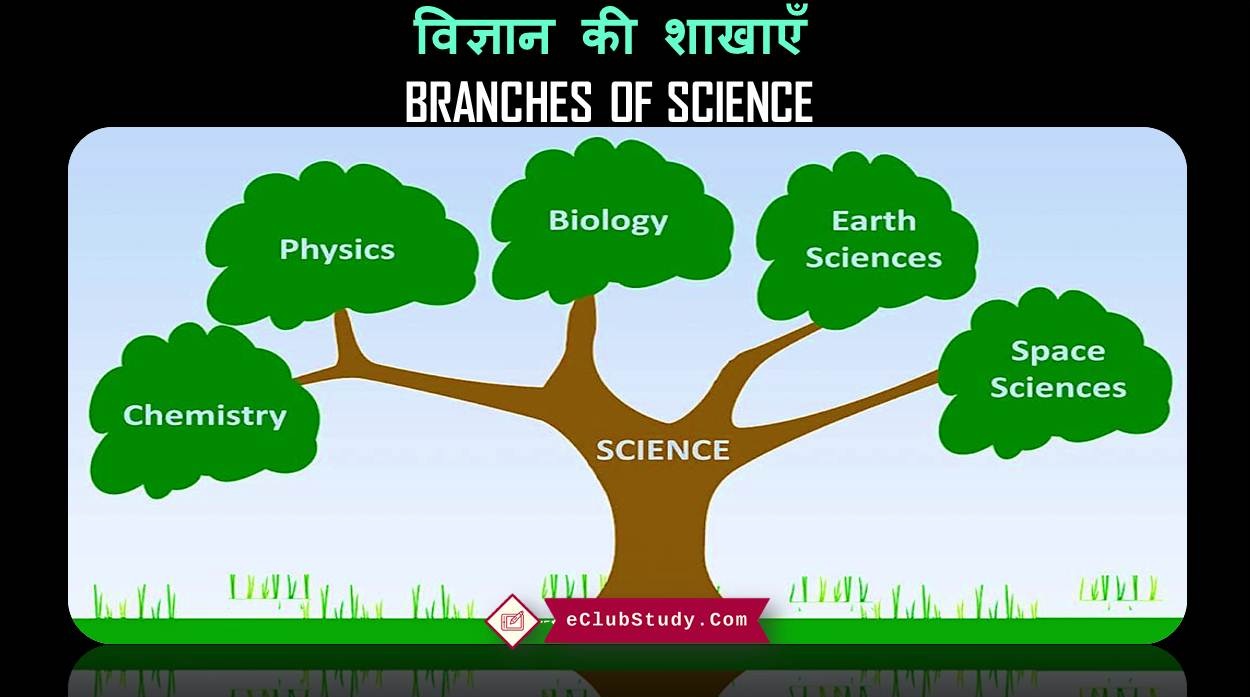 Branches of Science in Hindi
